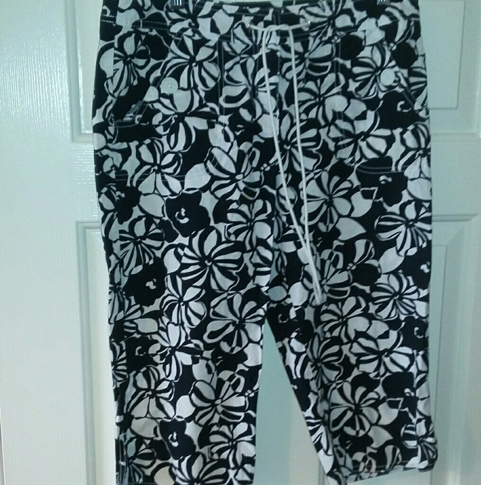 Loft shorts